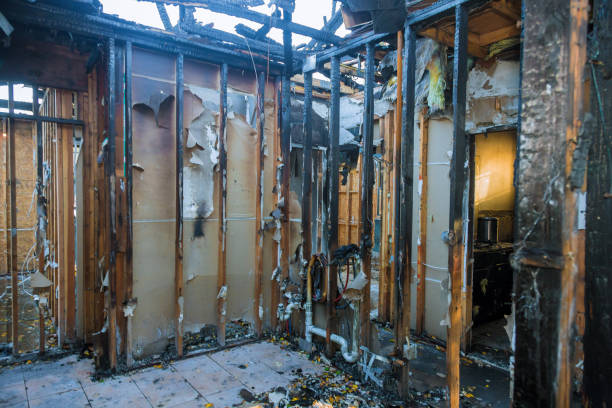 Professional Structural Rebuild technician working in Saint Francis, MN
